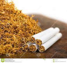 tobacco blends for cigarettes 3 Pack Cigarette Blend Tobacco Seeds 